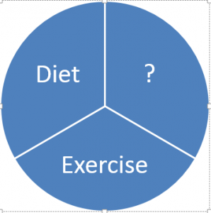 pie graphic showing Diet, Exercise and ?
